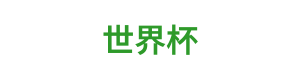 世界杯 Logo